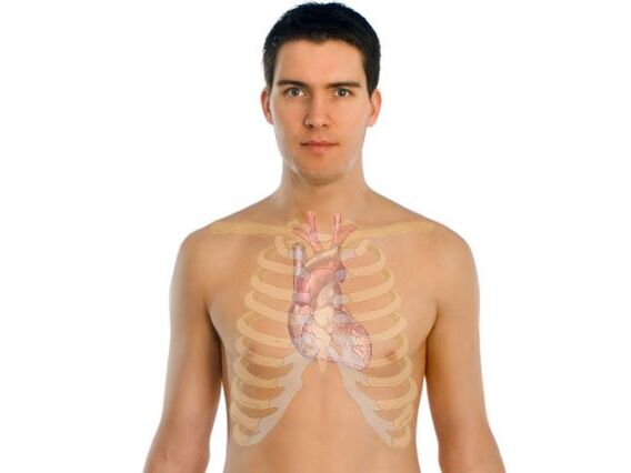 comment les parasites affectent les organes humains