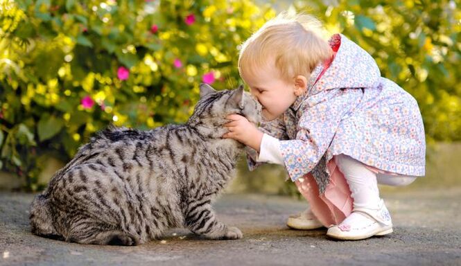 un enfant embrasse un chat et est infecté par des vers