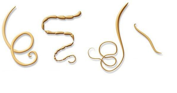 types de parasites dans le corps